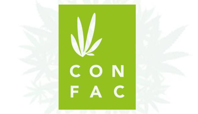 Latin America, Comparative Cannabis Regulation
