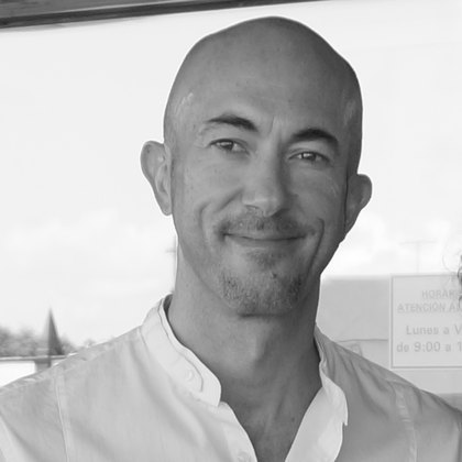Raúl del Pino