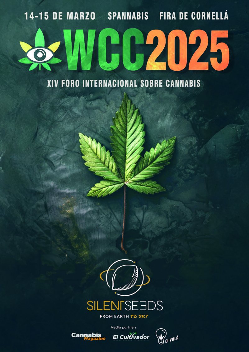 Cartel de 2025
