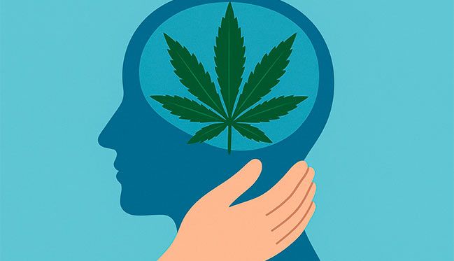 Cannabis to improve your mental health: keys for regulation
