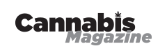 CannabisMagazine logo negro